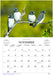 Birds of Australia 2026 A4 Wall Calendar