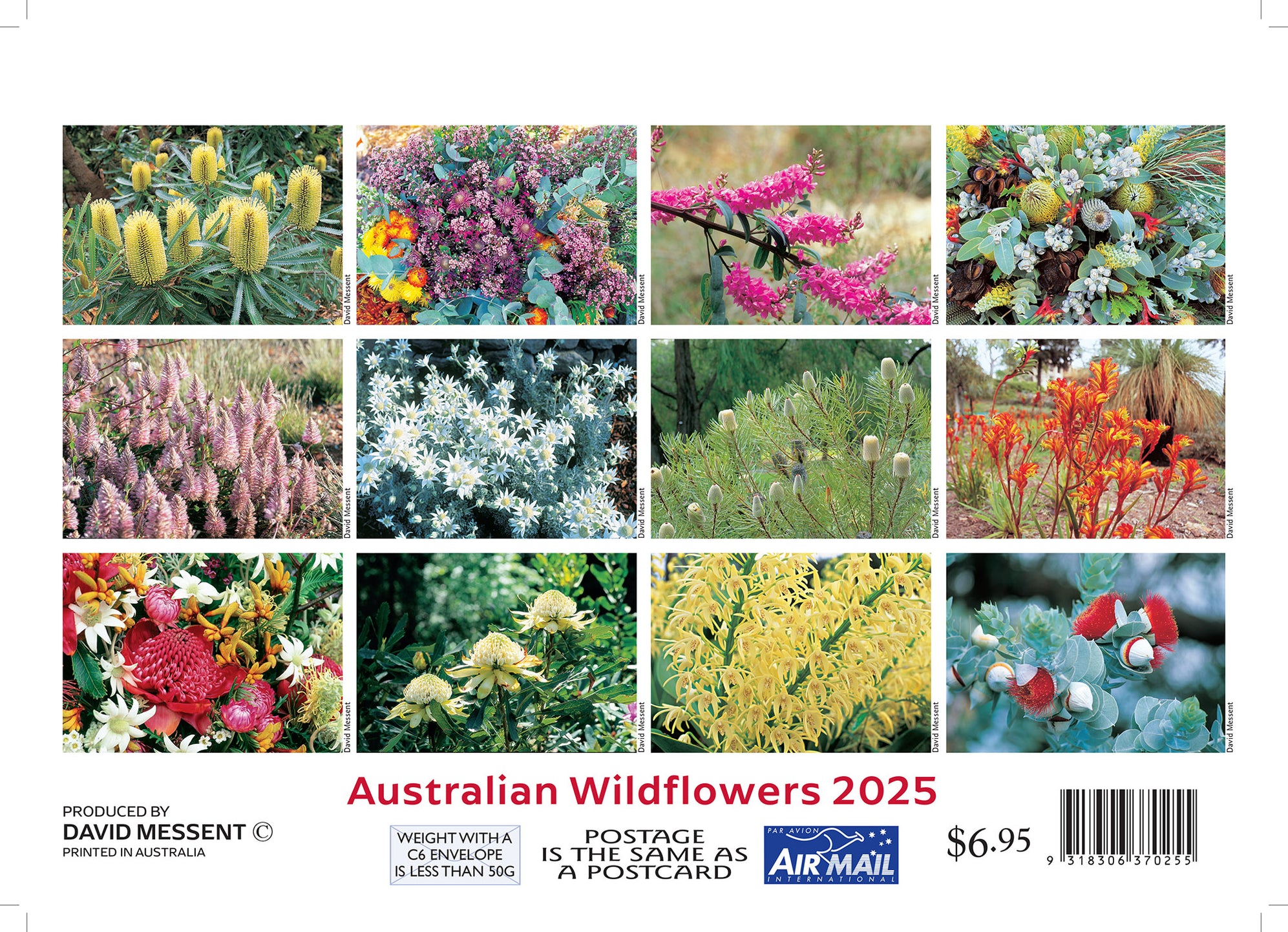 Calendar Club 2025 Australian Wildflowers Mini Pocket Calendar