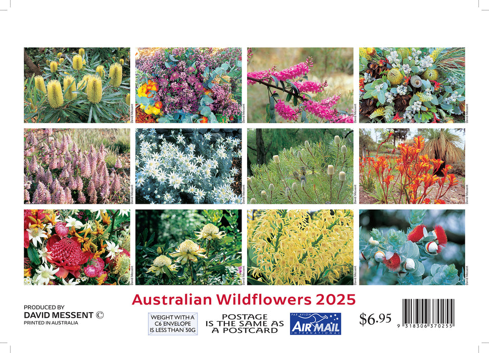 2025 Australian Wildflowers Mini Pocket Calendar