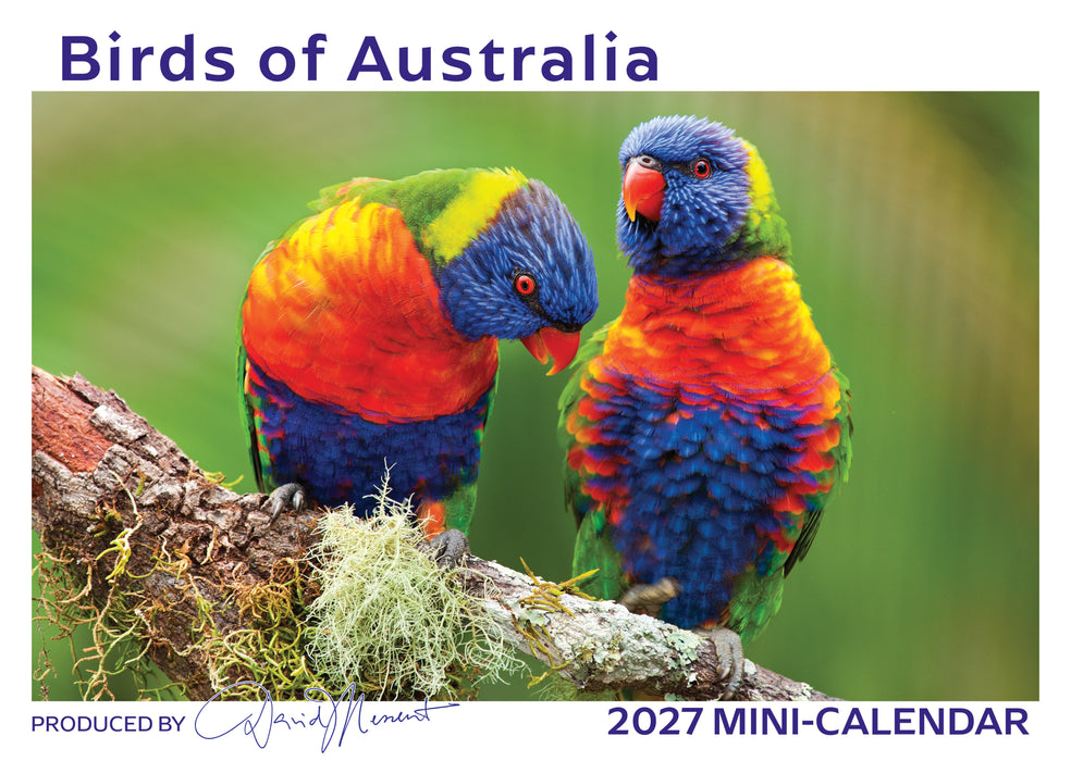 Birds of Australia 2027 Mini Wall Calendar