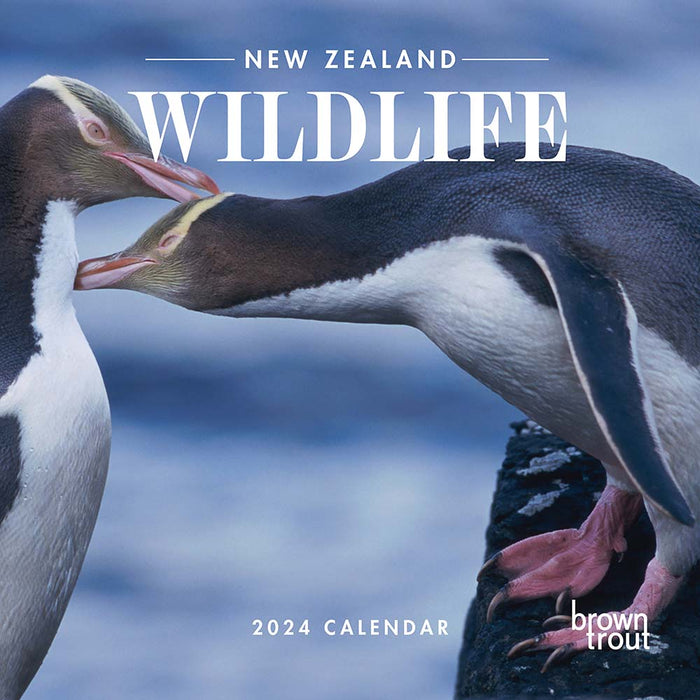 2024 New Zealand Wildlife Wall Calendar