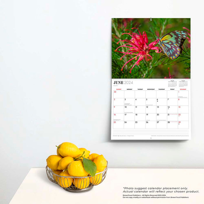 2024 Australian Wildflowers by Steve Parish Wall Calendar