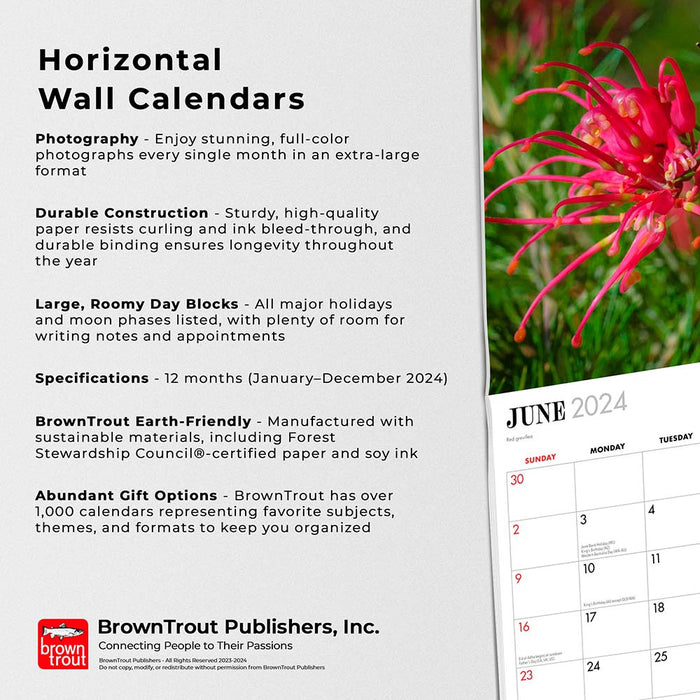 2024 Australian Wildflowers by Steve Parish Wall Calendar