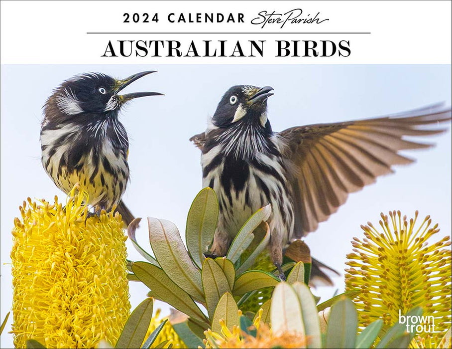 2024 Australian Birds by Steve Parish Wall Calendar