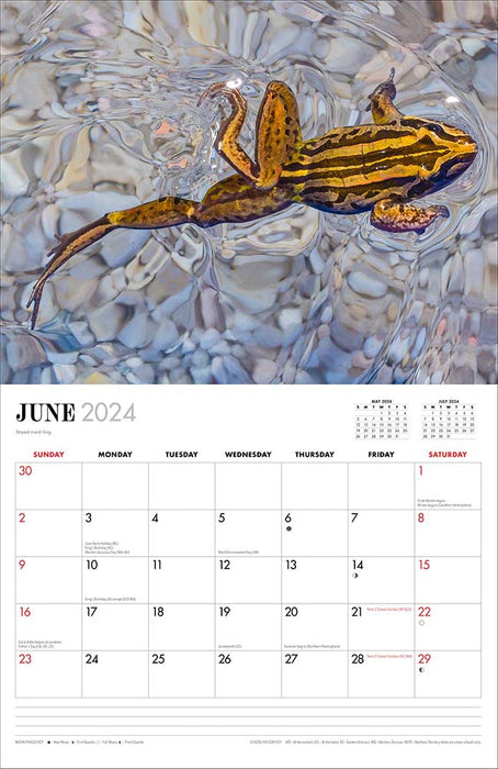 2024 Australian Wildlife by Steve Parish Wall Calendar