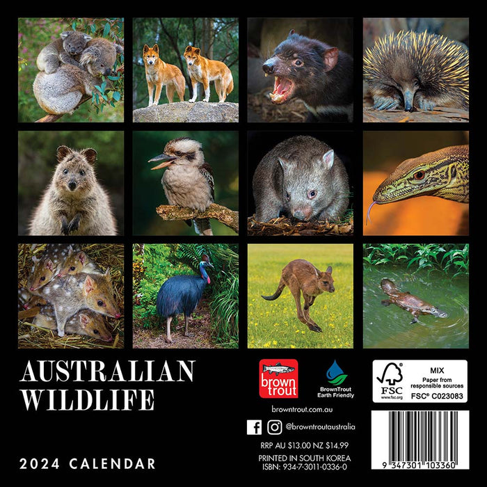 2024 Australian Wildlife Mini Wall Calendar