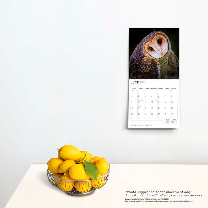 2024 Australian Birds by Steve Parish Mini Wall Calendar