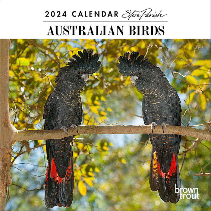 2024 Australian Birds by Steve Parish Mini Wall Calendar