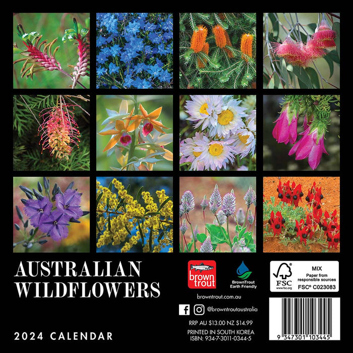 2024 Australian Wildflowers Mini Wall Calendar