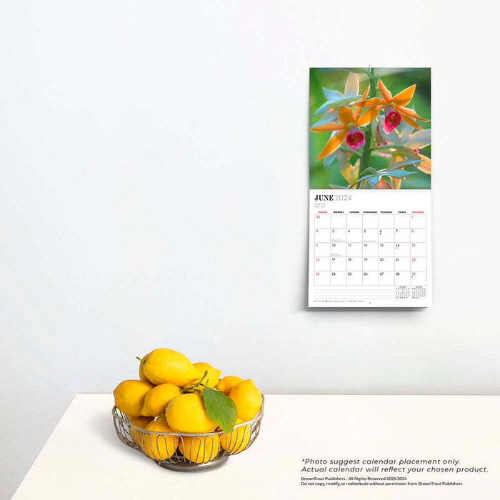 2024 Australian Wildflowers Mini Wall Calendar