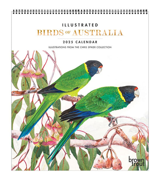 2025 Illustrated Birds of Australia Deluxe Wall Calendar by  Browntrout Publishers Australia from Calendar Club