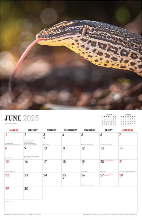 2025 Australian Wildlife by Steve Parish Wall Calendar