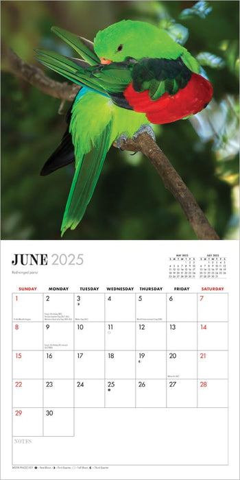 2025 Australian Birds by Steve Parish Mini Wall Calendar by  Browntrout Publishers Australia from Calendar Club