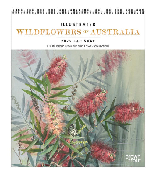 2025 Illustrated Wildflowers of Australia Deluxe Wall Calendar by  Browntrout Publishers Australia from Calendar Club