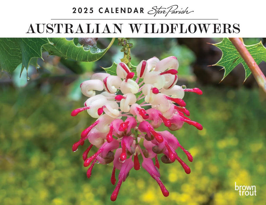 2025 Australian Wildflowers by Steve Parish Wall Calendar