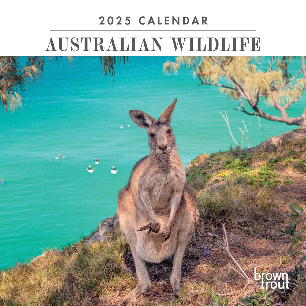 Calendar Club 2025 Australian Wildlife Mini Wall Calendar