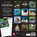 2025 New Zealand Wildlife Wall Calendar by  Browntrout Publishers Australia from Calendar Club