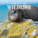 2025 New Zealand Wildlife Wall Calendar by  Browntrout Publishers Australia from Calendar Club