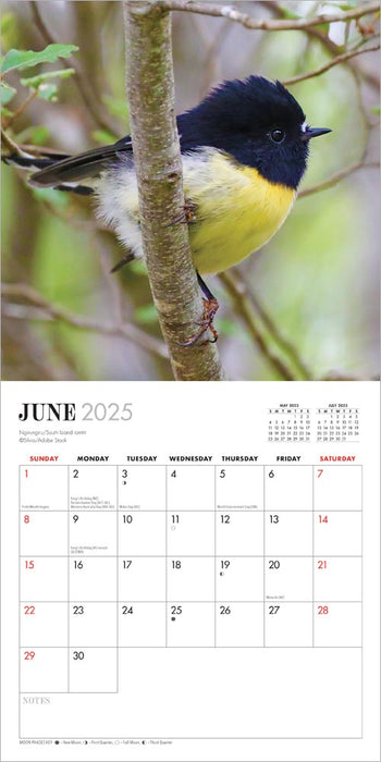 2025 New Zealand Birds Mini Wall Calendar by  Browntrout Publishers Australia from Calendar Club