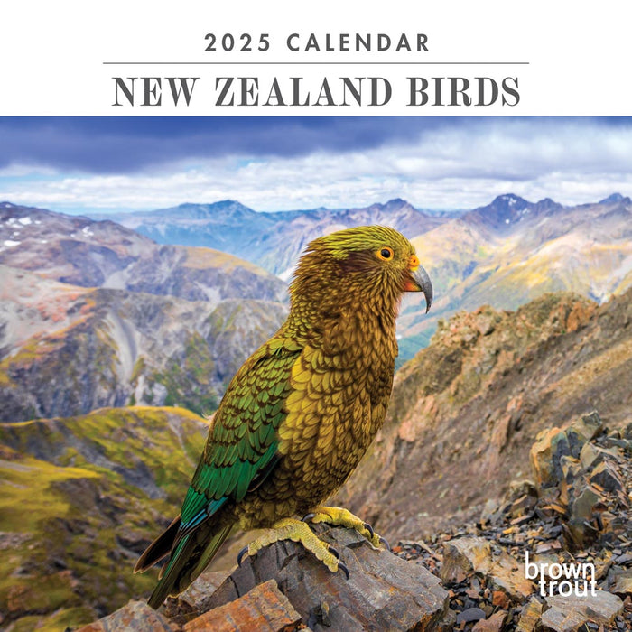 2025 New Zealand Birds Mini Wall Calendar by  Browntrout Publishers Australia from Calendar Club