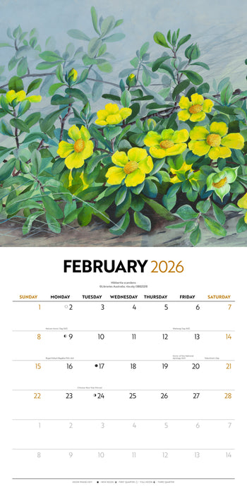 Illustrated Wildflowers of Australia 2026 Square Wall Calendar