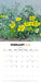 Illustrated Wildflowers of Australia 2026 Square Wall Calendar