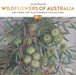 Illustrated Wildflowers of Australia 2026 Square Wall Calendar