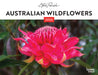 Australian Wildflowers S Parish 2026 A4 Wall Calendar