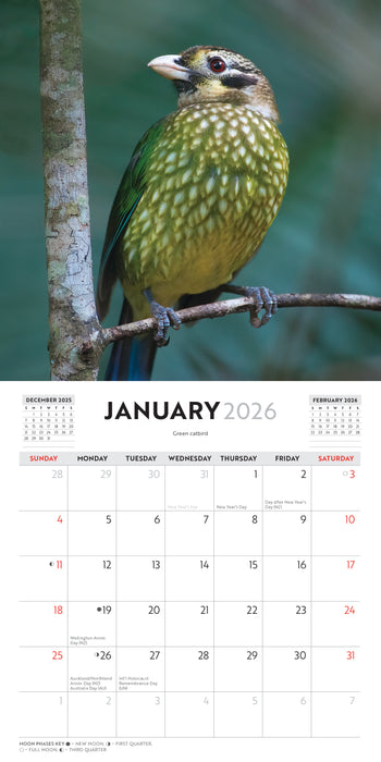 Australian Birds S Parish 2026 Mini Wall Calendar