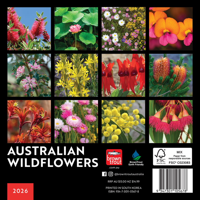 Australian Wildflowers 2026 Mini Wall Calendar