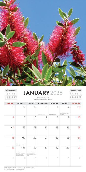 Australian Wildflowers 2026 Mini Wall Calendar