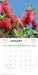 Australian Wildflowers 2026 Mini Wall Calendar