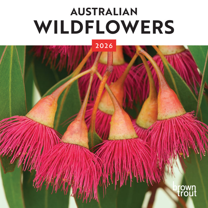 Australian Wildflowers 2026 Mini Wall Calendar