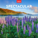 Spectacular New Zealand 2026 Square Wall Calendar
