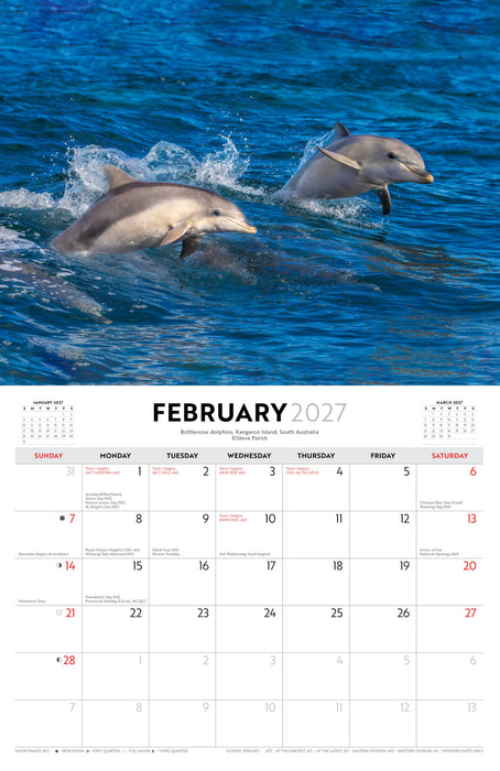Australian Coastlines by Steve Parish 2027 Wall Calendar