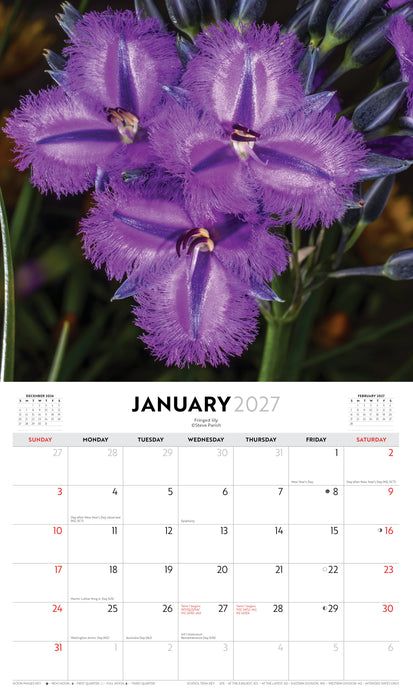 Australian Wildflowers by Steve Parish 2027 Wall Calendar