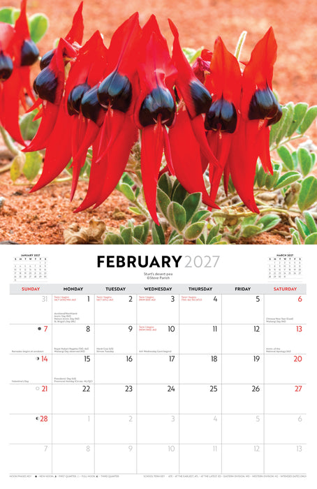 Australian Wildflowers by Steve Parish 2027 Wall Calendar
