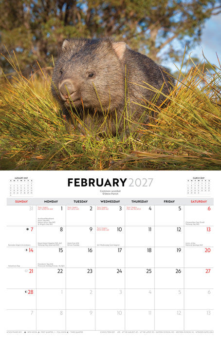 Australian Wildlife by Steve Parish 2027 Wall Calendar