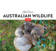Australian Wildlife by Steve Parish 2027 Wall Calendar
