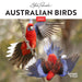 Australian Birds by Steve Parish 2027 Mini Wall Calendar