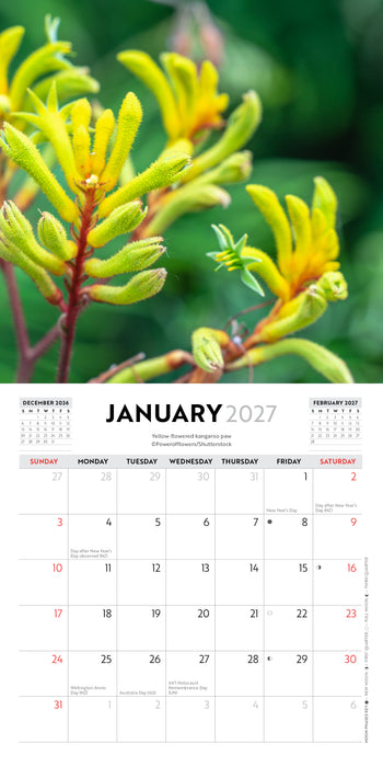 Australian Wildflowers 2027 Mini Wall Calendar