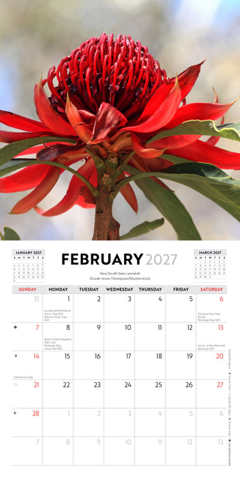 Australian Wildflowers 2027 Mini Wall Calendar