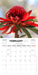 Australian Wildflowers 2027 Mini Wall Calendar