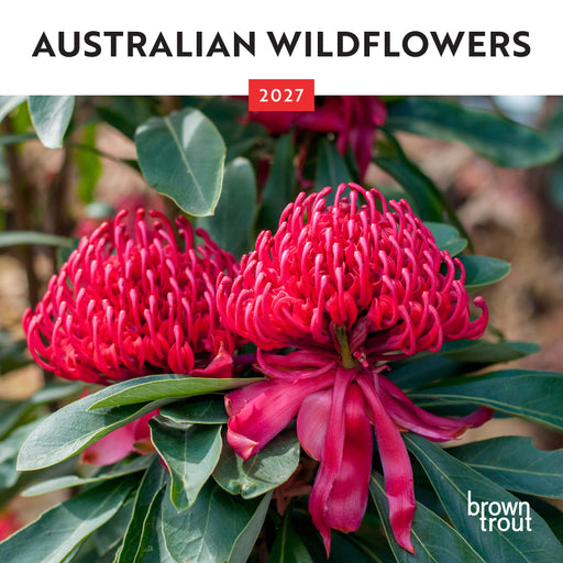 Australian Wildflowers 2027 Mini Wall Calendar