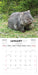 Australian Wildlife 2027 Mini Wall Calendar