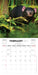 Australian Wildlife 2027 Mini Wall Calendar