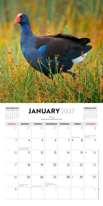 New Zealand Birds 2027 Mini Wall Calendar