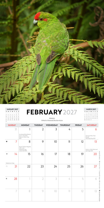 New Zealand Birds 2027 Mini Wall Calendar
