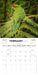 New Zealand Birds 2027 Mini Wall Calendar