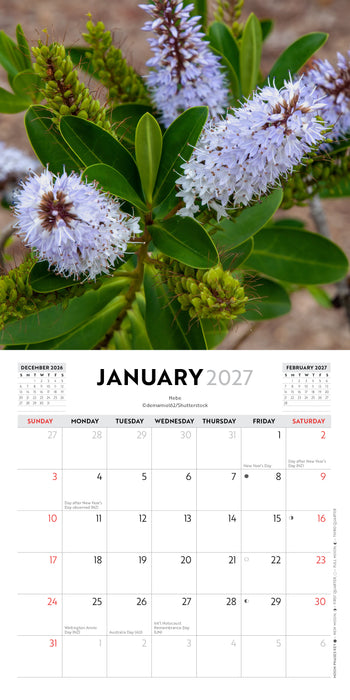 New Zealand Native Flowers 2027 Mini Wall Calendar